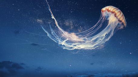 Mystical Medusa Under the Night Sky wallpaper