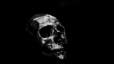 The silver Skeleton wallpaper