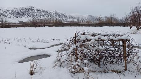 Winter Wonderland in Quiet Mountains wallpaper