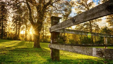Golden Sunset Behind the Wooden Fence wallpaper