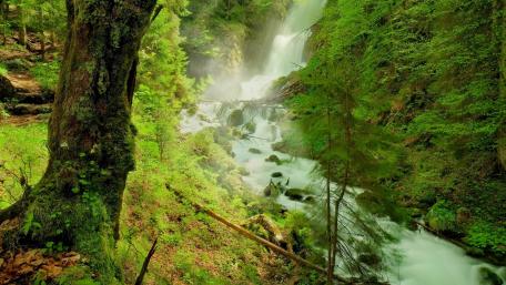 Serenity of a Cascading Waterfall in Nature wallpaper