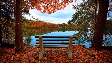 Autumn Serenity by the Lake wallpaper
