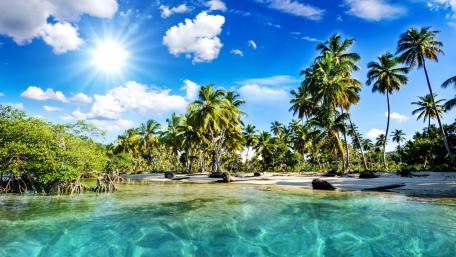 Tropical Paradise Under the Sun wallpaper