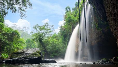 Khao Yai National Park wallpaper
