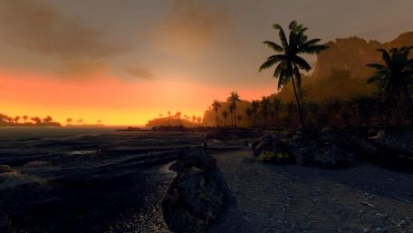 Serene Beach Sunset with Palm Trees wallpaper
