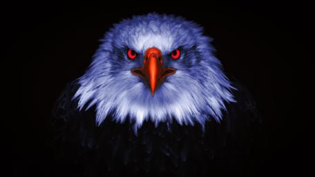 Majestic Bald Eagle with Piercing Red Eyes wallpaper