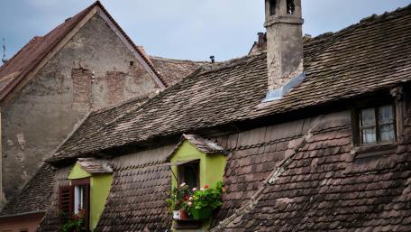 Charming Rooftops of a Historic City wallpaper