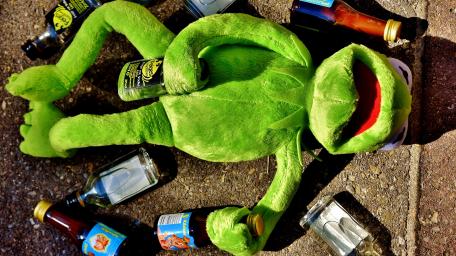 Kermit's Wild Night Out wallpaper