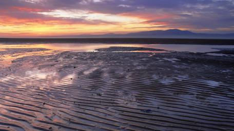 Tranquil Sunset Over Serene Beach Shoreline wallpaper
