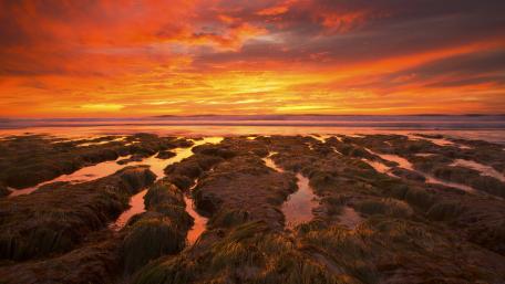 Fiery Sunset Over Tranquil Tides wallpaper