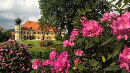 Schoenberg Castle wallpaper