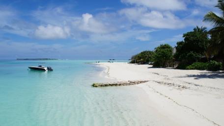 Serene Tropical Beach Paradise wallpaper