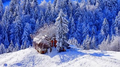 Winter Wonderland in a Cozy Cottage wallpaper
