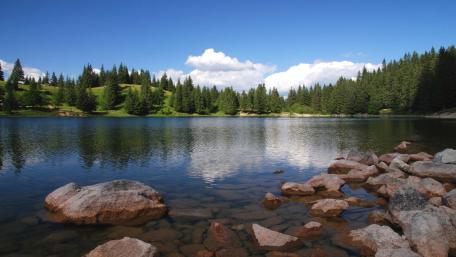 Tranquil Lake Surrounded by Lush Forests and Blue Skies wallpaper