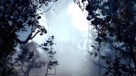 Fantasy woods wallpaper