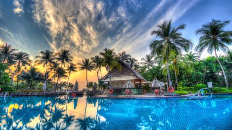 Tropical Paradise Oasis wallpaper
