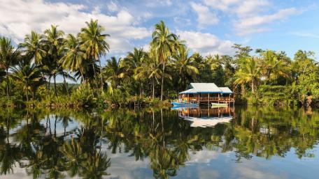 Serene Boathouse Reflection in a Tropical Bayou wallpaper