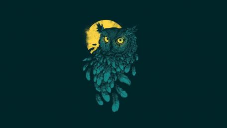 Mystical Owl Under Moonlight wallpaper