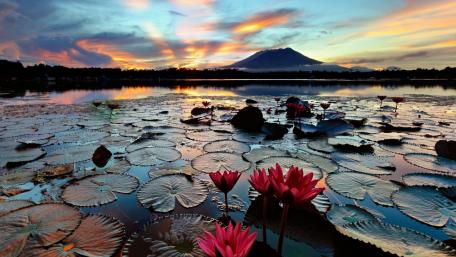 Sampaloc Lake wallpaper