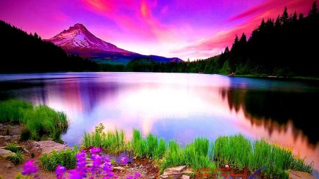 Pink Serenity at Al Dinder National Park wallpaper