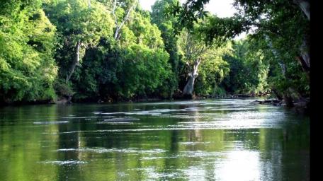 Serenity of Nature's Tranquil River Scene wallpaper