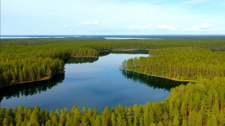 Tranquil Lake Surrounded by Majestic Finnish Forests wallpaper