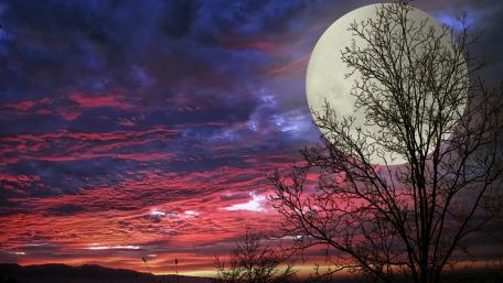 Supermoon Serenity at Dusk wallpaper