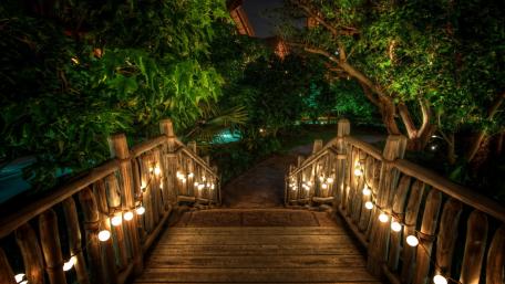 Enchanting Garden Pathway at Night wallpaper