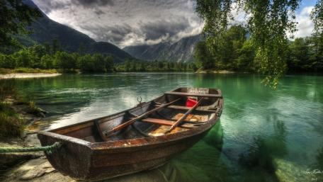 Tranquil Moments by the Lake wallpaper