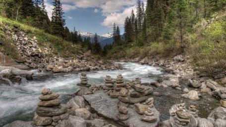 Serenity in Nature’s Balance wallpaper