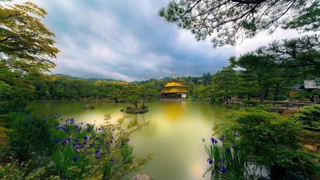 Kinkaku-ji Temple wallpaper