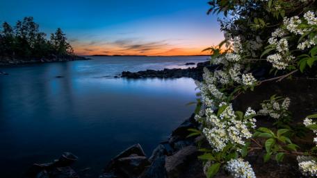 Serene Dusk by the Waterway wallpaper