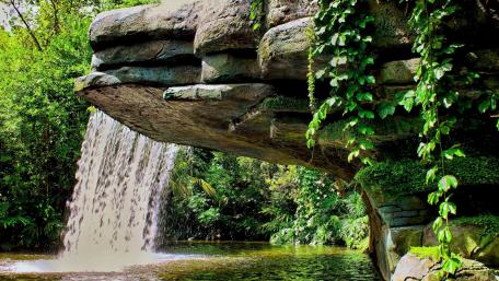 Majestic Waterfall Hidden in Lush Greenery wallpaper