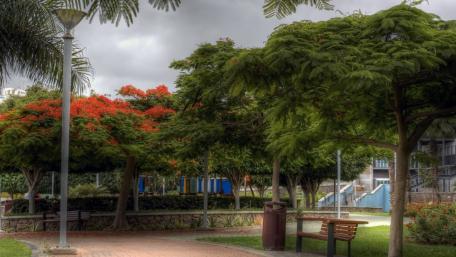 Canary Islands wallpaper