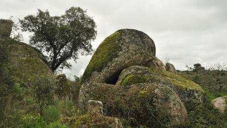 Majestic Boulder Landscape in Lush Greenery wallpaper