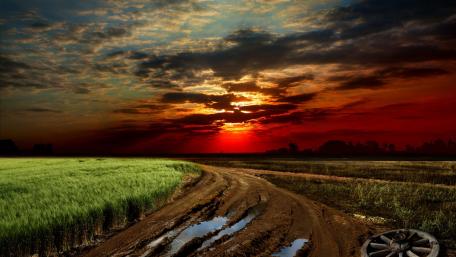 Serene Sunset Over Agricultural Roadway wallpaper