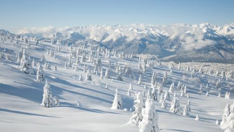 Serene Winter Wonderland Scene in Snowy Landscape wallpaper
