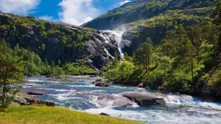 Majestic Waterfall Amidst Lush Greenery wallpaper