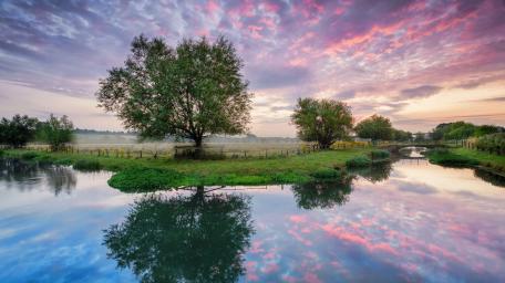 Serene Reflections in a Wetland Landscape wallpaper