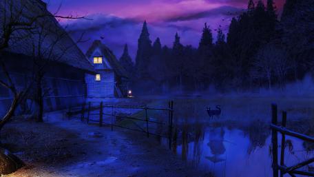 Winter night wallpaper