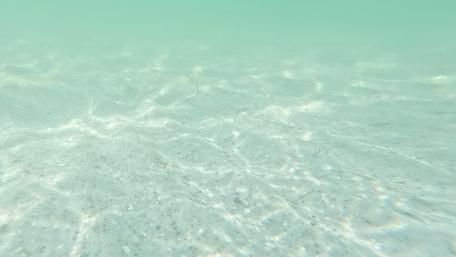 Ground floor of the ocean wallpaper