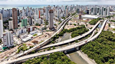 Mangrove Park in Recife, Brazil wallpaper