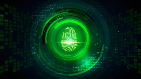 Fingerprint wallpaper