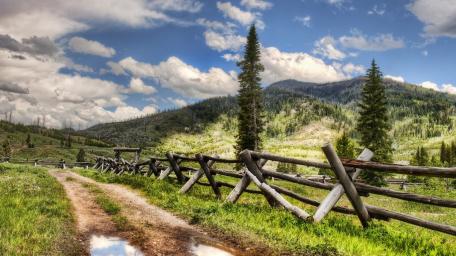 Tranquil Dirt Road Surrounded by Nature's Beauty wallpaper