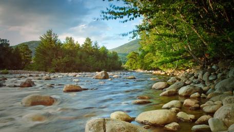 Serenity by the Riverbank wallpaper