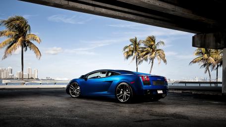 Sleek Lamborghini Gallardo Under Palm Trees wallpaper