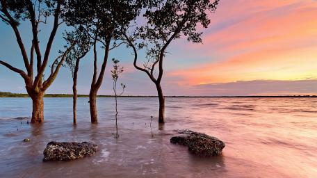 Serene Sunset Over Tranquil Waters wallpaper