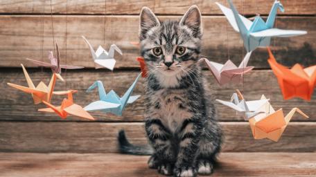 Charming Kitten Surrounded by Paper Cranes wallpaper