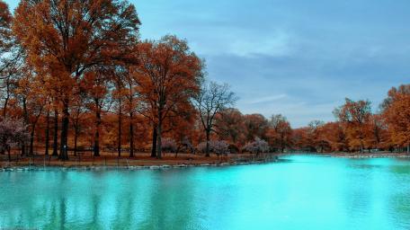 Autumn Serenity in Vibrant Colors wallpaper
