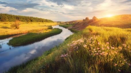 Serene Summer River Landscape in 4K Quality wallpaper